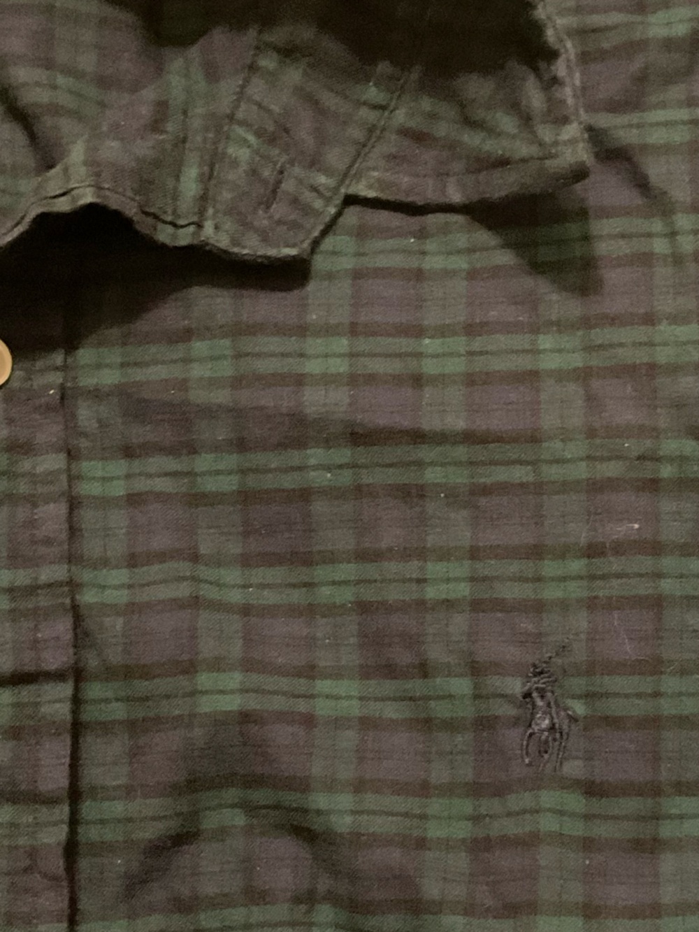Polo by Ralph Lauren Green and Blue Tartan Plaid Button-Down Shirt